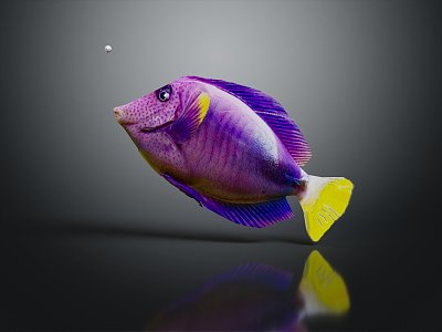 Modern Fish Freshwater Fish Ornamental Fish Marine Fish 3d model