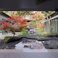 Tranquil Courtyard Garden With Red Maple Trees Water Pond Stone Decorations Glass Walls And Reflections
