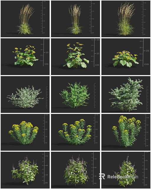 Various Types Of Flowers And Plants With Yellow Blooms And Green Leaves 3d model 