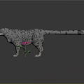Spotted Snow Leopard Model With Pink Flower And Green Leaves On Dark Background