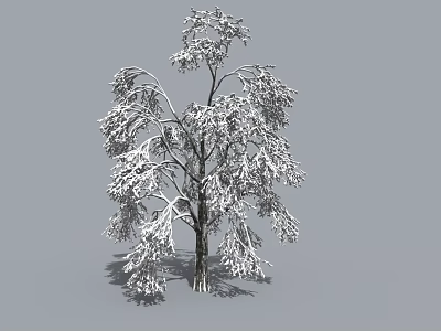 Tall Snow Covered Tree With Lush Branches In Winter Setting 3d model