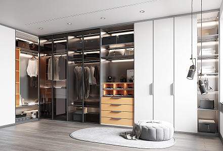 Modern Cloakroom Wardrobe 3d model