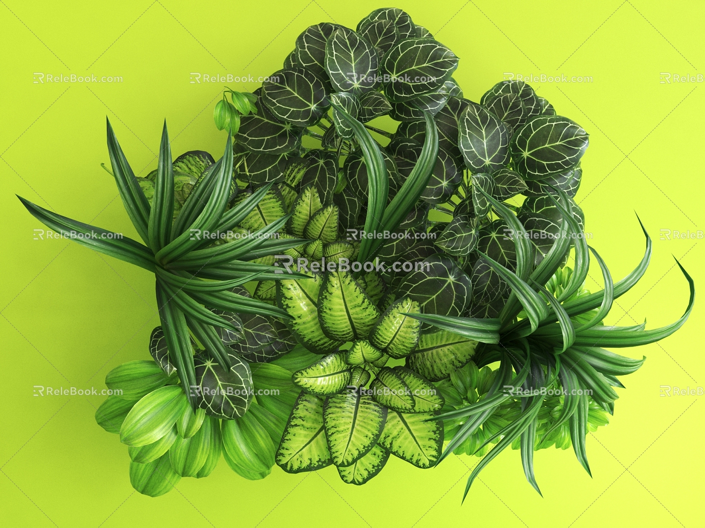 Modern Plant Indoor Potted Green Plant 3d model