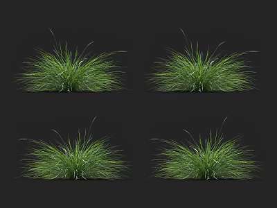 Vibrant Green Grass Tufts on Black Background with Natural Texture and Fresh Appearance 3d model