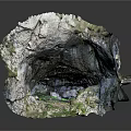 Natural Cave Landscape With Rocky Ceiling Green Vegetation And Earthy Ground