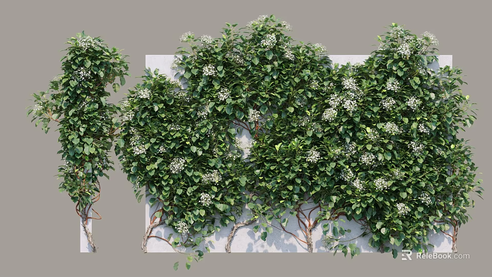 Lush Shrubs With Dense Green Leaves And Small White Flowers For Garden Decoration 3d model 