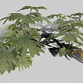 Lush Green Plant Featuring Split Broad Leaves And Vibrant Foliage Design 3d model
