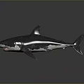 3D Shark Model Featuring Gray Body Open Mouth Sharp Teeth And Reflection On Dark Background 3d model
