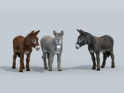 Three Different Colored Reptiles Standing On Gray Background In Studio 3d model