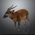 Okapi Wild Animal With Reddish Brown Coat White Stripes Horns And Distinctive Facial Markings