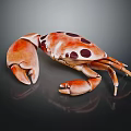 Detailed Orange Crab With Dark Brown Spots And Large Claws On Dark Background With Reflection