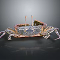 Vibrant Blue Purple Crab With Large Claws And Legs On Dark Background With Reflection