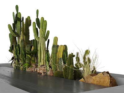 Cactus Bonsai Potted Plants Of Various Heights With Rocks And Dry Grass On Gray Platform 3d model
