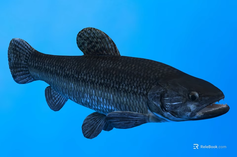 Dark Aquatic Fish With Textured Scales And Streamlined Body In Blue Background 3d model 