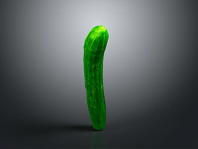 Single Fresh Green Cucumber Standing on Gray Background with Reflection 3d model