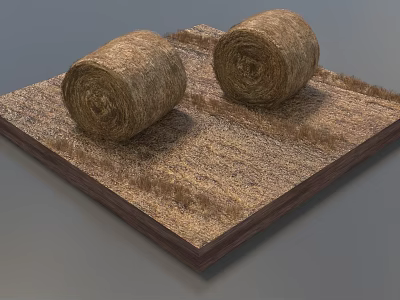 Two Round Hay Bales Placed On Square Wooden Base With Dry Straw 3d model