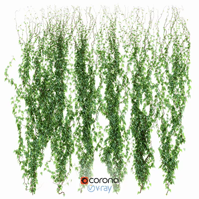 Green Hanging Vines Decorative Indoor Plants With Lush Foliage And Cascading Leaves 3d model