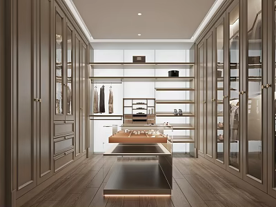 Modern Walk in Closet Interior With Wooden Cabinetry Shelves And Island 3d model