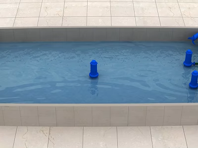 Modern regulating pool 3d model