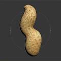 Whole Natural Peanut Pod with Rough Surface Texture Isolated on Dark Background and Clear Reflection