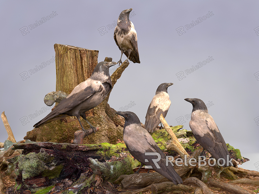 modern sparrow gray finch model