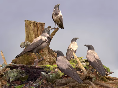 Group of Crows Perching on Tree Stump and Branches Against Overcast Sky 3d model