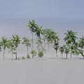 Diverse Green Plant Combinations with Trees Shrubs and Vines for Landscape Design