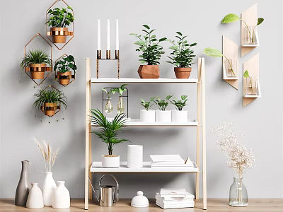 Charming Garden Decor With Hexagonal Wall Shelves Tiered Wooden Shelf And Potted Plants 3d model