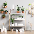 Charming Garden Decor With Hexagonal Wall Shelves Tiered Wooden Shelf And Potted Plants