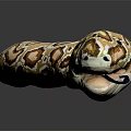snake cobra venomous snake python 3d model