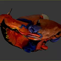 Detailed Anatomical Model of Human Heart Organ with Fine Hair Structures