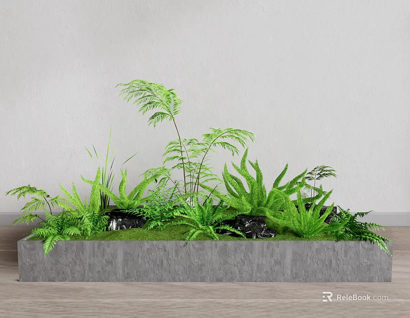 Lush Green Plants with Ferns and Grass in Gray Rectangular Planter Indoor 3d model 