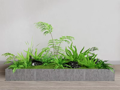 Lush Green Plants with Ferns and Grass in Gray Rectangular Planter Indoor 3d model