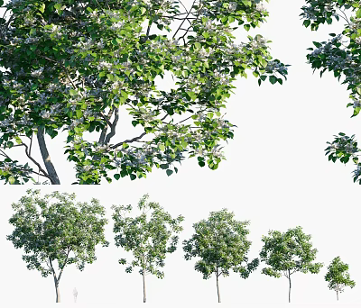 Lush Green Arbor With Various Sizes And Dense Foliage In Natural Setting 3d model