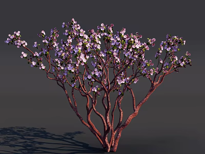 Delicious Dessert Garnished With Purple Flowers And Red Twigs 3d model