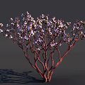 Delicious Dessert Garnished With Purple Flowers And Red Twigs