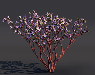 Delicious Dessert Garnished With Purple Flowers And Red Twigs 3d model