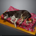 Adorable Dog Resting On Soft Pink Patterned Blanket Over Wooden Mat