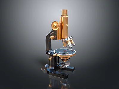 Vintage Brass Microscope With Black Base And Classic Design Structure 3d model