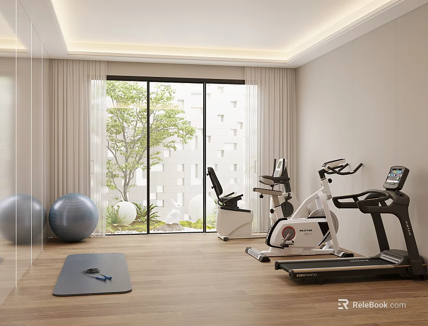 Modern Home Gym With Fitness Equipment And Natural Light 3d model 