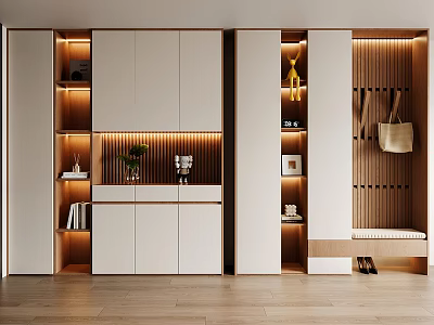 Modern Shoe Cabinet With White Wooden Design Storage Shelves Hanging Bag And LED Lighting 3d model