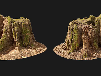 Stone and Wood Tree Stumps With Moss Covered Natural Texture And Rustic Look 3d model