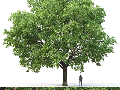 Decorative Ornament Set with Large Green Tree Model and Small Figure Miniature Scene Decoration 3d model
