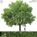 Decorative Ornament Set with Large Green Tree Model and Small Figure Miniature Scene Decoration