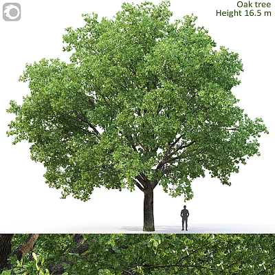 Decorative Ornament Set with Large Green Tree Model and Small Figure Miniature Scene Decoration 3d model