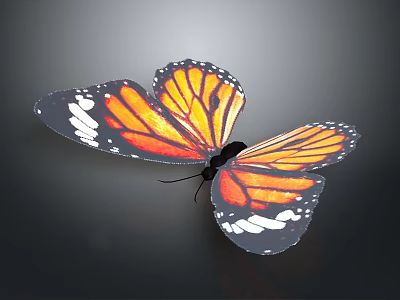 Monarch Butterfly With Orange Black Wings And White Spots On Dark Background 3d model
