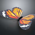 Monarch Butterfly With Orange Black Wings And White Spots On Dark Background