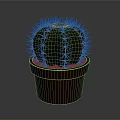 Small Green Round Cactus With Yellow Spines In Brown Ceramic Pot