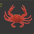 Red Crab 3D Render With Glossy Surface And Reflection On Dark Background