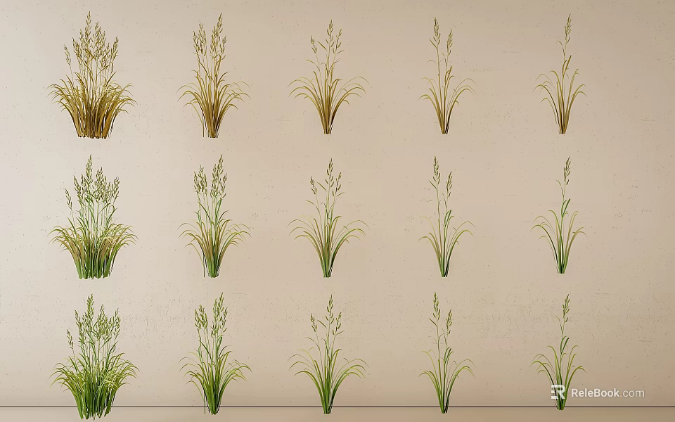 Various Types of Decorative Grasses in Different Green and Gold Tones Arranged Neatly 3d model 